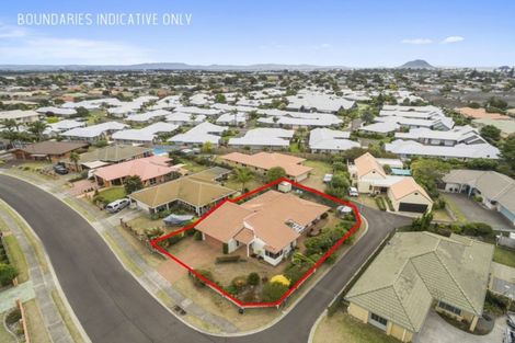 Photo of property in 21 Gardenia Drive, Mount Maunganui, 3116