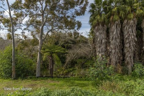 Photo of property in 7 Washingtonia Way, Omokoroa, 3114