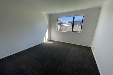 Photo of property in 16 Lotus Street, Appleby, Richmond, 7020