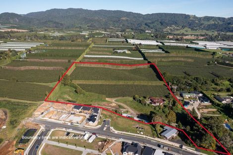 Photo of property in 81 Dunlop Road, Te Puke, 3119