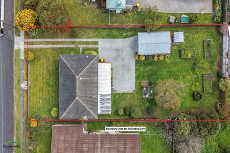 Photo of property in 58 Neal Street, Putaruru, 3411