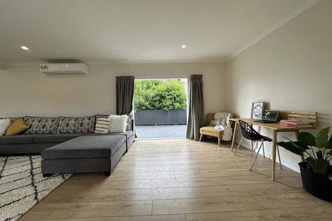 Photo of property in 161 Rimu Street, Maeroa, Hamilton, 3200