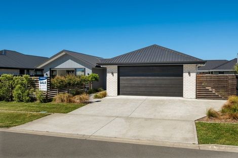 Photo of property in 12 Mustang Alley, Burleigh, Blenheim, 7201
