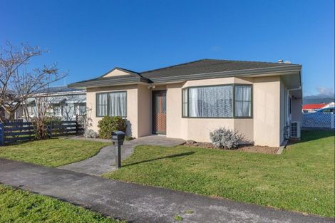 Photo of property in 106 Winchester Street, Levin, 5510