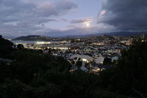 Photo of property in 14 Buckingham Street, Melrose, Wellington, 6023