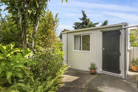 Photo of property in 18 Kilgour Street, Roslyn, Dunedin, 9010