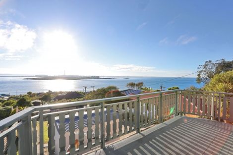 Photo of property in 10 Raymond Street, Bluff, 9814