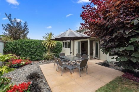 Photo of property in 6 Makepeace Place, Flagstaff, Hamilton, 3210