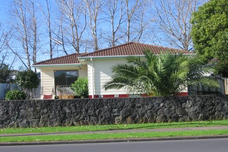 Photo of property in 74 Mahunga Drive, Favona, Auckland, 2024