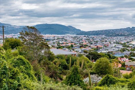 Photo of property in 108a Bedford Street, Saint Clair, Dunedin, 9012