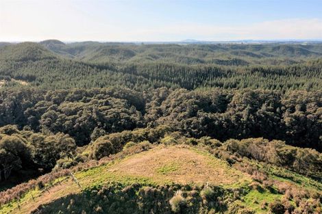 Photo of property in 795 Maungarangi Road, Paengaroa, 3189