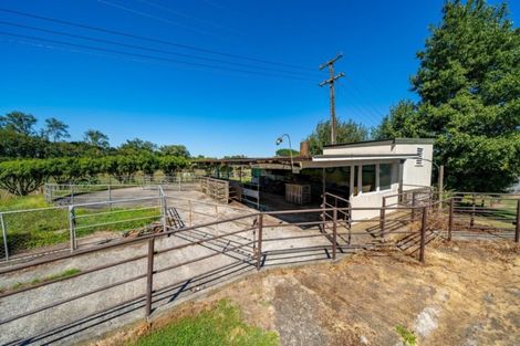 Photo of property in 124 Horrell Road, Morrinsville, 3374