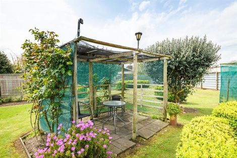 Photo of property in 201 Bridge Street, Bulls, 4818