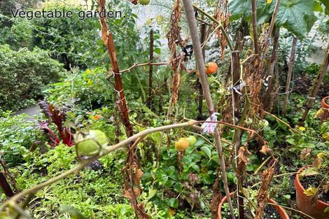 Photo of property in 205/11 Akepiro Street, Mount Eden, Auckland, 1024