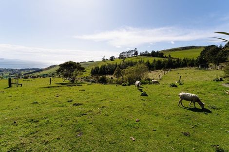 Photo of property in 162 Purakaunui Road, Mihiwaka, Port Chalmers, 9081