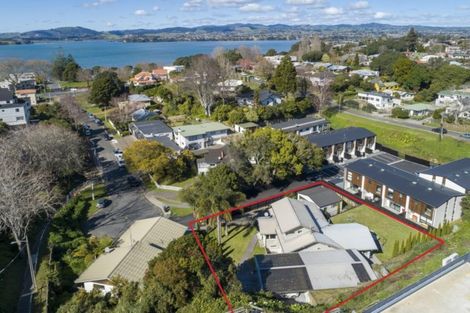 Photo of property in 38 Seventh Avenue, Tauranga, 3110