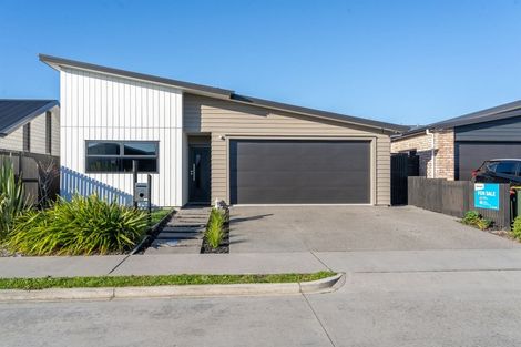 Photo of property in 38 Capper Crescent, Chartwell, Hamilton, 3210
