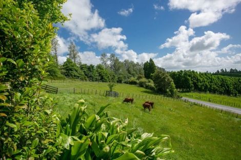 Photo of property in 11 Dunning Road, Karapiro, Cambridge, 3496