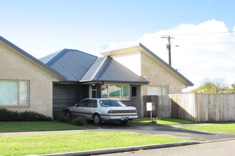 Photo of property in 161 Hastings Street East, Waltham, Christchurch, 8023