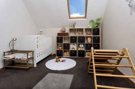 Photo of property in 50 Eban Avenue, Hillcrest, Auckland, 0627