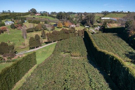 Photo of property in 394 Old Highway, Whakamarama, 3180
