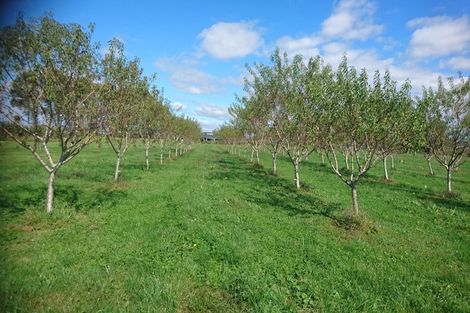 Photo of property in 324 Greig Road, Matata, Whakatane, 3194