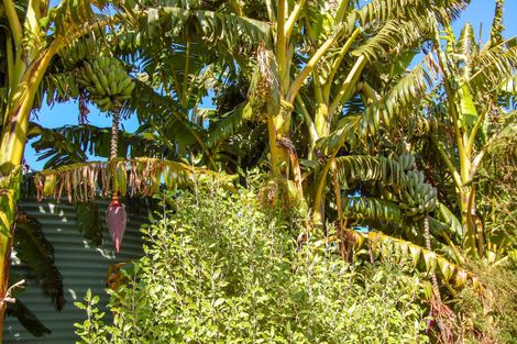 Photo of property in 598a Oneriri Road, Kaiwaka, 0573