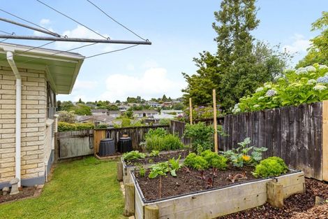 Photo of property in 10 Hazelwood Avenue, Dinsdale, Hamilton, 3204