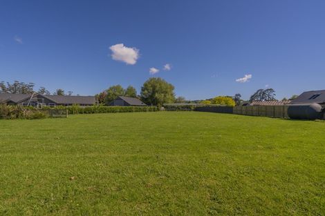 Photo of property in 8a Austin Drive, Whitianga, 3510