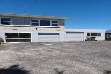 Photo of property in 167 Mahoe Street, Melville, Hamilton, 3206