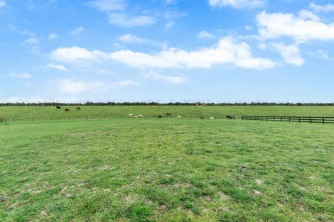Photo of property in 203 Matangi Road, Matangi, Hamilton, 3284