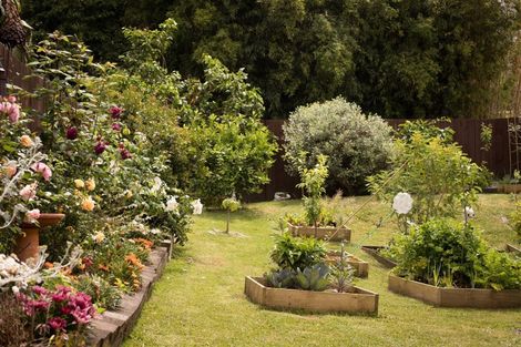 Photo of property in 60 Kohekohe Street, New Lynn, Auckland, 0600