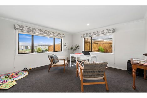 Photo of property in 4 Patatee Terrace, Baverstock, Hamilton, 3200