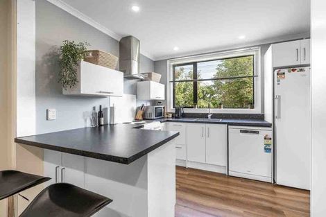 Photo of property in 242 Princes Street, Strathern, Invercargill, 9812