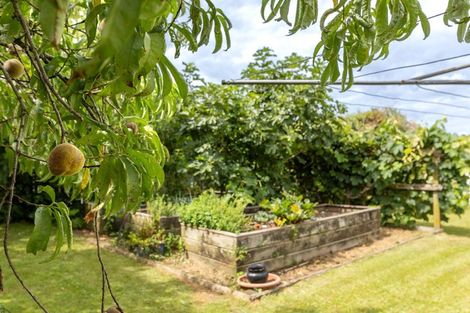 Photo of property in 21 Stanley Avenue, Te Aroha, 3320