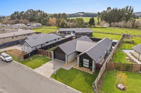 Photo of property in 39 Plover Avenue, Amberley, 7410