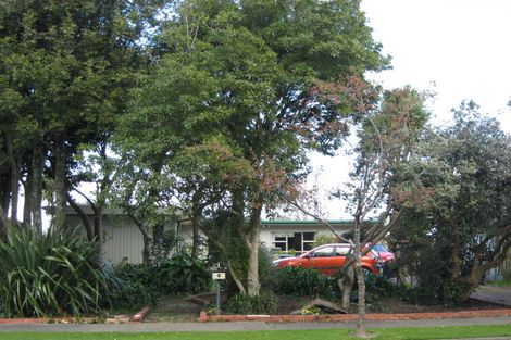 Photo of property in 9 Pain Street, Bulls, 4818