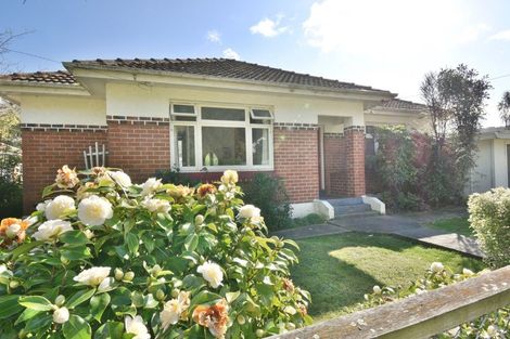 Photo of property in 45 Norwood Street, Normanby, Dunedin, 9010