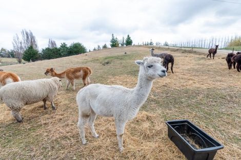 Photo of property in 123 Letts Gully Road, Alexandra, 9393