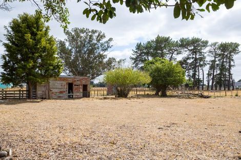 Photo of property in 299 Bidwills Cutting Road, Morison Bush, Greytown, 5794
