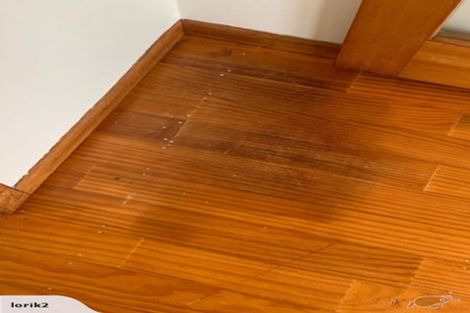 Photo of property in 46 Stott Avenue, Birkdale, Auckland, 0626