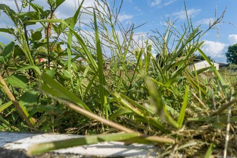 Photo of property in 1 Great Collins Street, Ohaupo, 3803