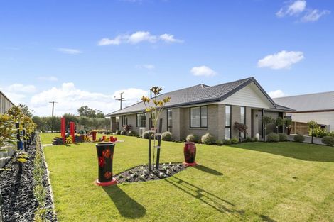 Photo of property in 6 Harvard Road, Burleigh, Blenheim, 7201