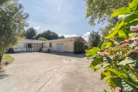 Photo of property in 15b Bell Street, Featherston, 5710