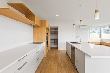 Photo of property in 233 Taylor Pass Road, Witherlea, Blenheim, 7201