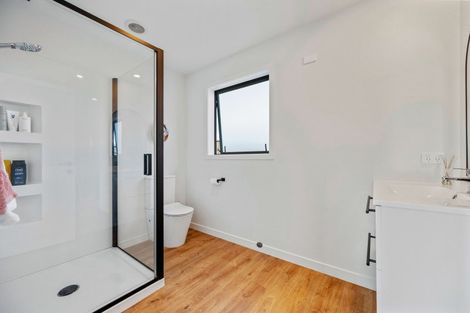 Photo of property in 43 Larch Crescent, Alexandra, 9320