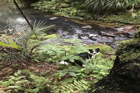 Photo of property in 409 Puketotara Road, Waipapa, Kerikeri, 0295