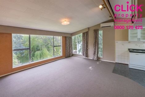 Photo of property in 524 South Road, Calton Hill, Dunedin, 9012