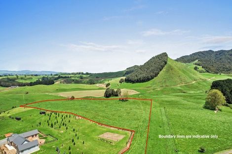 Photo of property in 153 Makgill Road, Maungatautari, Cambridge, 3494