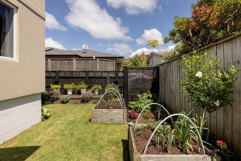 Photo of property in 13b Beach Street, Whakatane, 3120